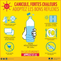 Canicule : adoptez les bons réflexes!